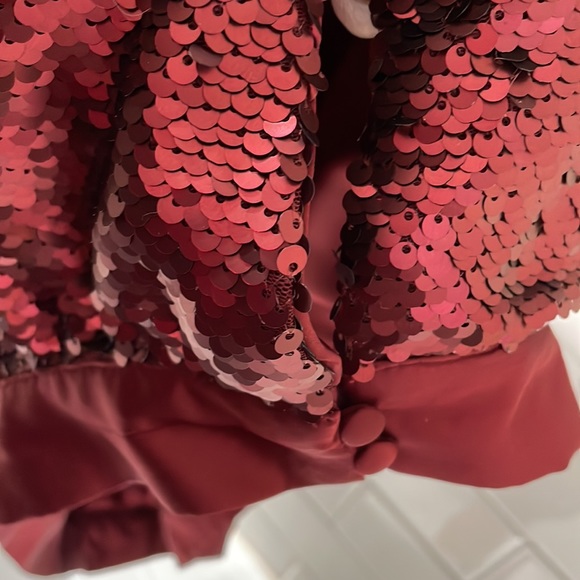 Anthropologie NEW with tags Burgundy Sequin Halter top . SZ XL - Picture 4 of 6